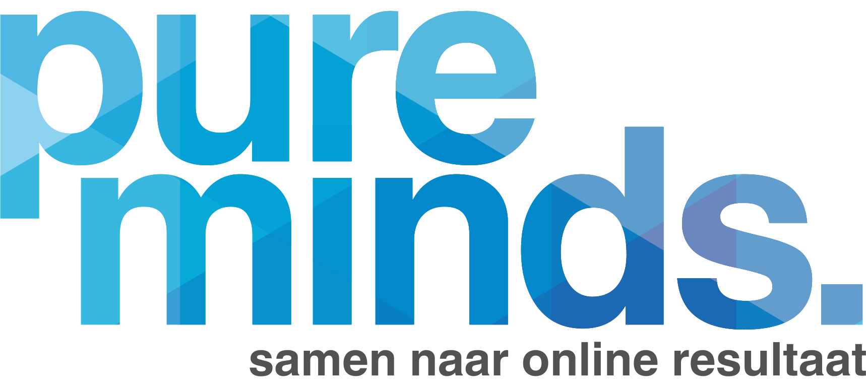 logo-pureminds-2017-1 (2)